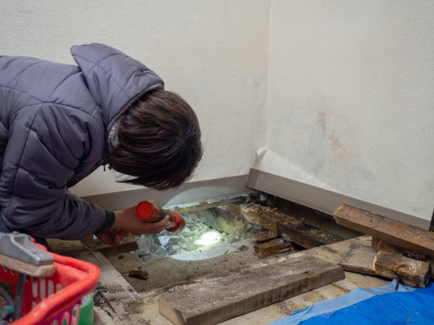 Best Real Estate Mold Inspection  in Chimayo, NM