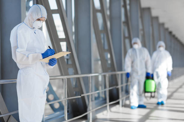 Professional Mold Removal in Chimayo, NM