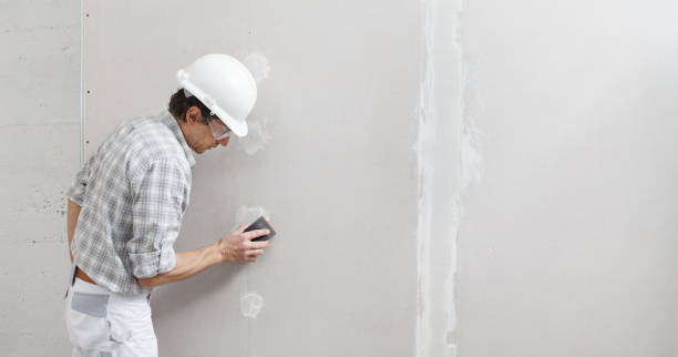 Best Commercial Mold Inspection  in Chimayo, NM