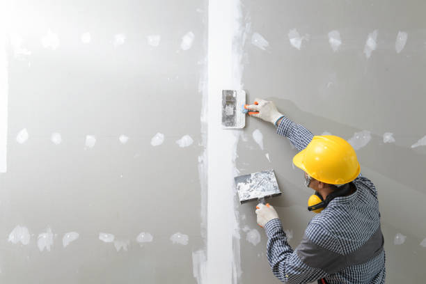 Best Environmental Consulting for Mold Prevention  in Chimayo, NM