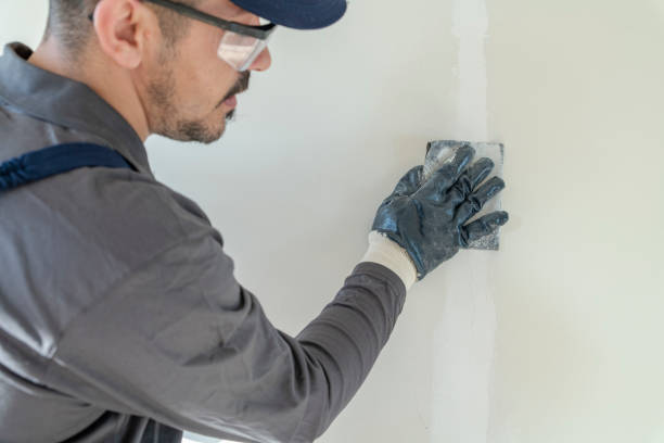 Environmental Consulting for Mold Prevention in Chimayo, NM