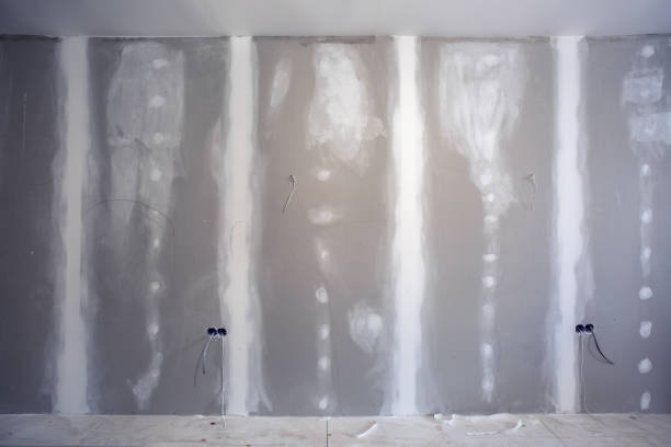 Best Basement Mold Removal  in Chimayo, NM